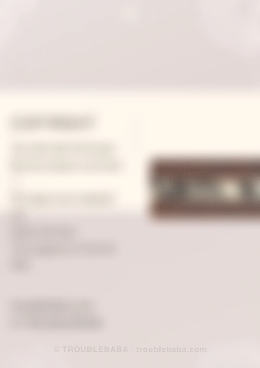 Page 12 of 59 — Bento Cake collection preview