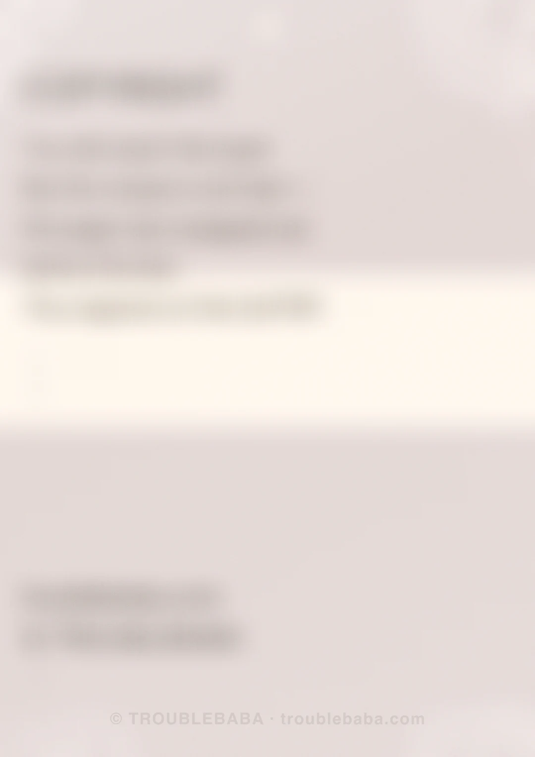 Page 19 of 59 — Bento Cake collection preview