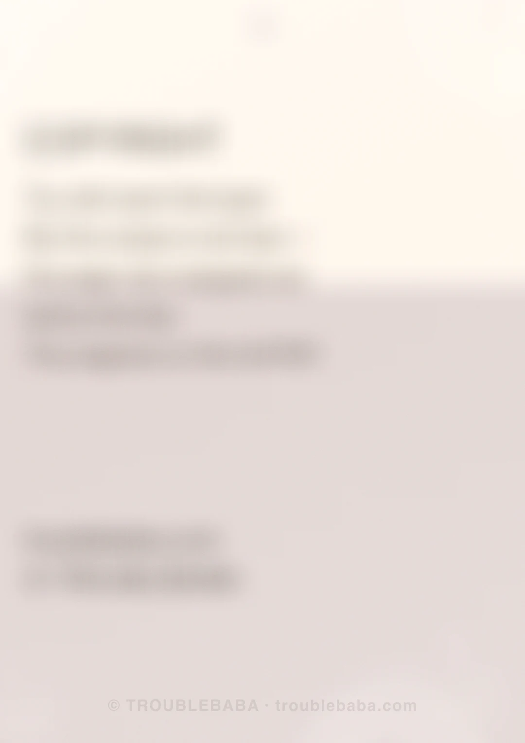 Page 20 of 59 — Bento Cake collection preview