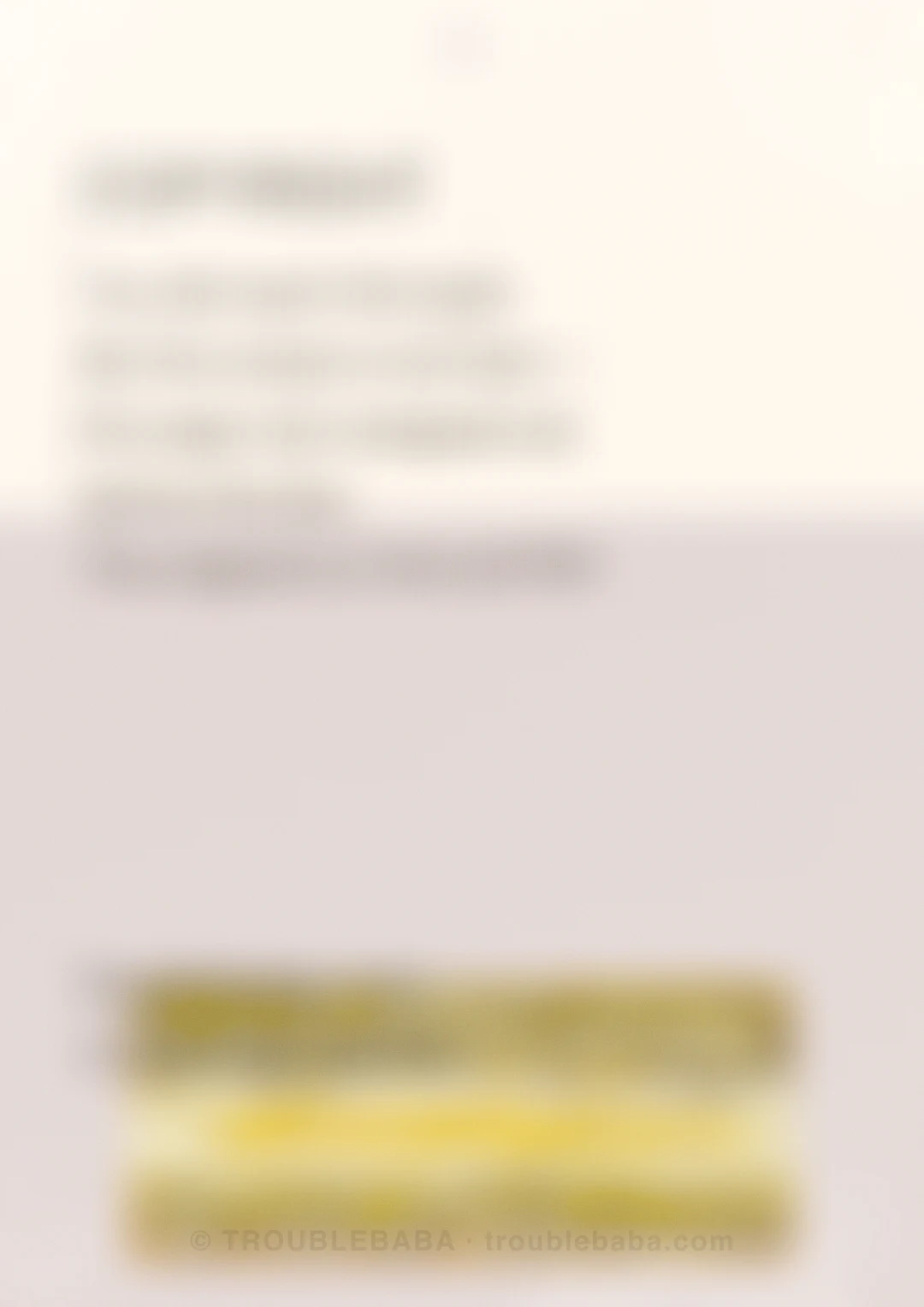 Page 21 of 59 — Bento Cake collection preview