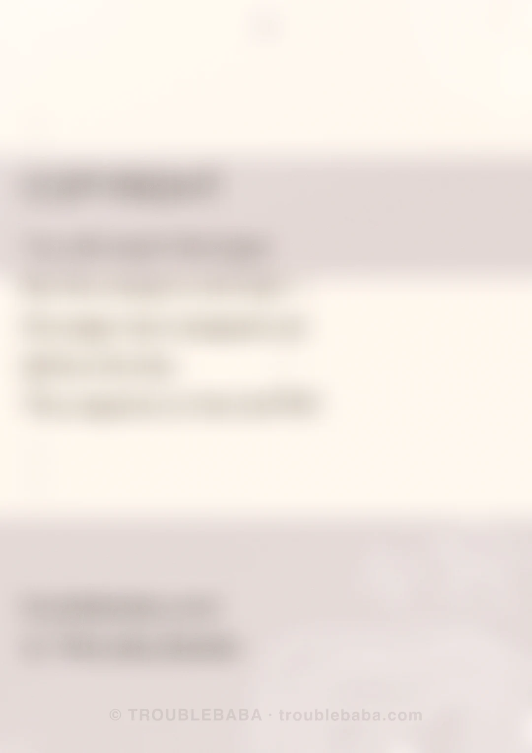 Page 24 of 59 — Bento Cake collection preview