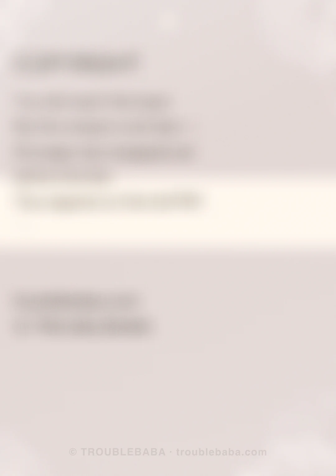 Page 25 of 59 — Bento Cake collection preview