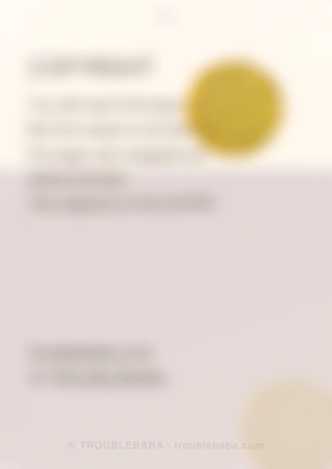 Page 28 of 59 — Bento Cake collection preview