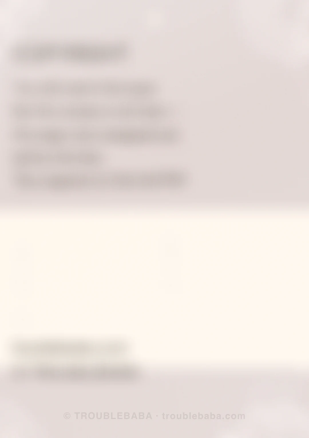 Page 29 of 59 — Bento Cake collection preview