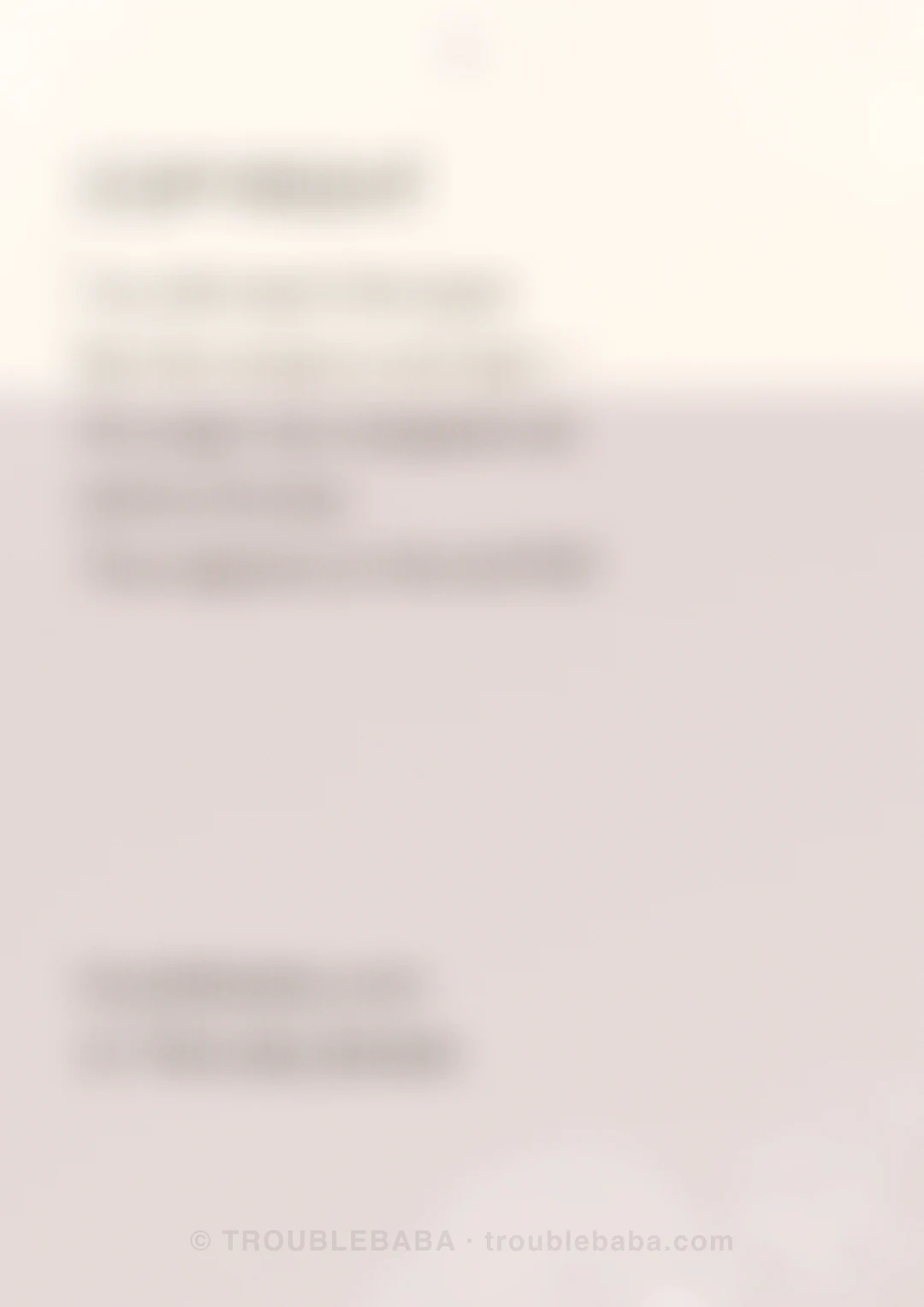Page 31 of 59 — Bento Cake collection preview