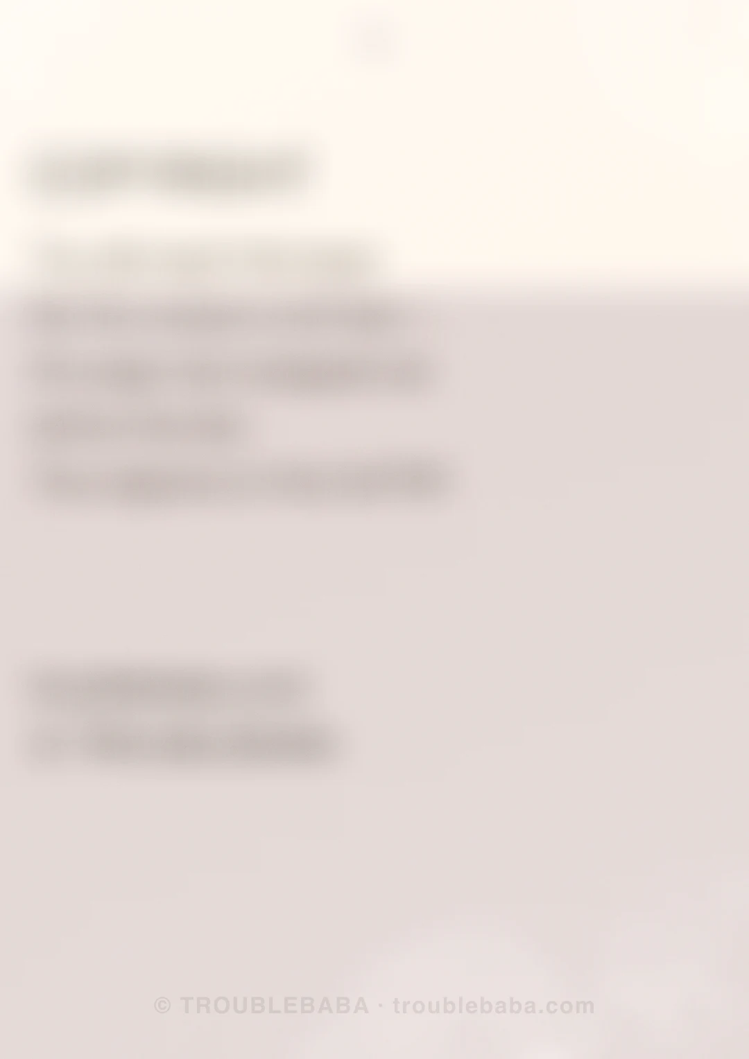 Page 32 of 59 — Bento Cake collection preview