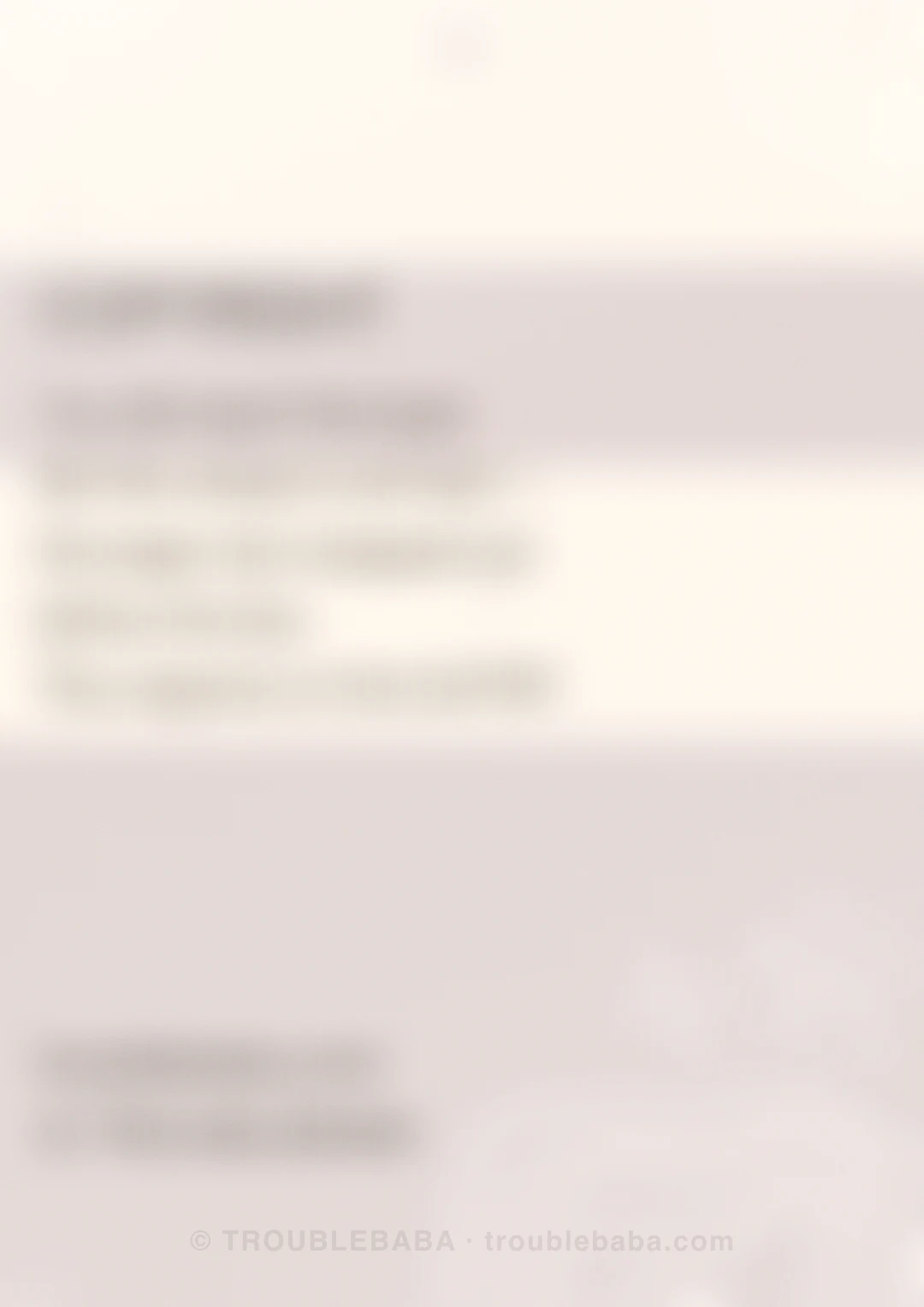 Page 35 of 59 — Bento Cake collection preview