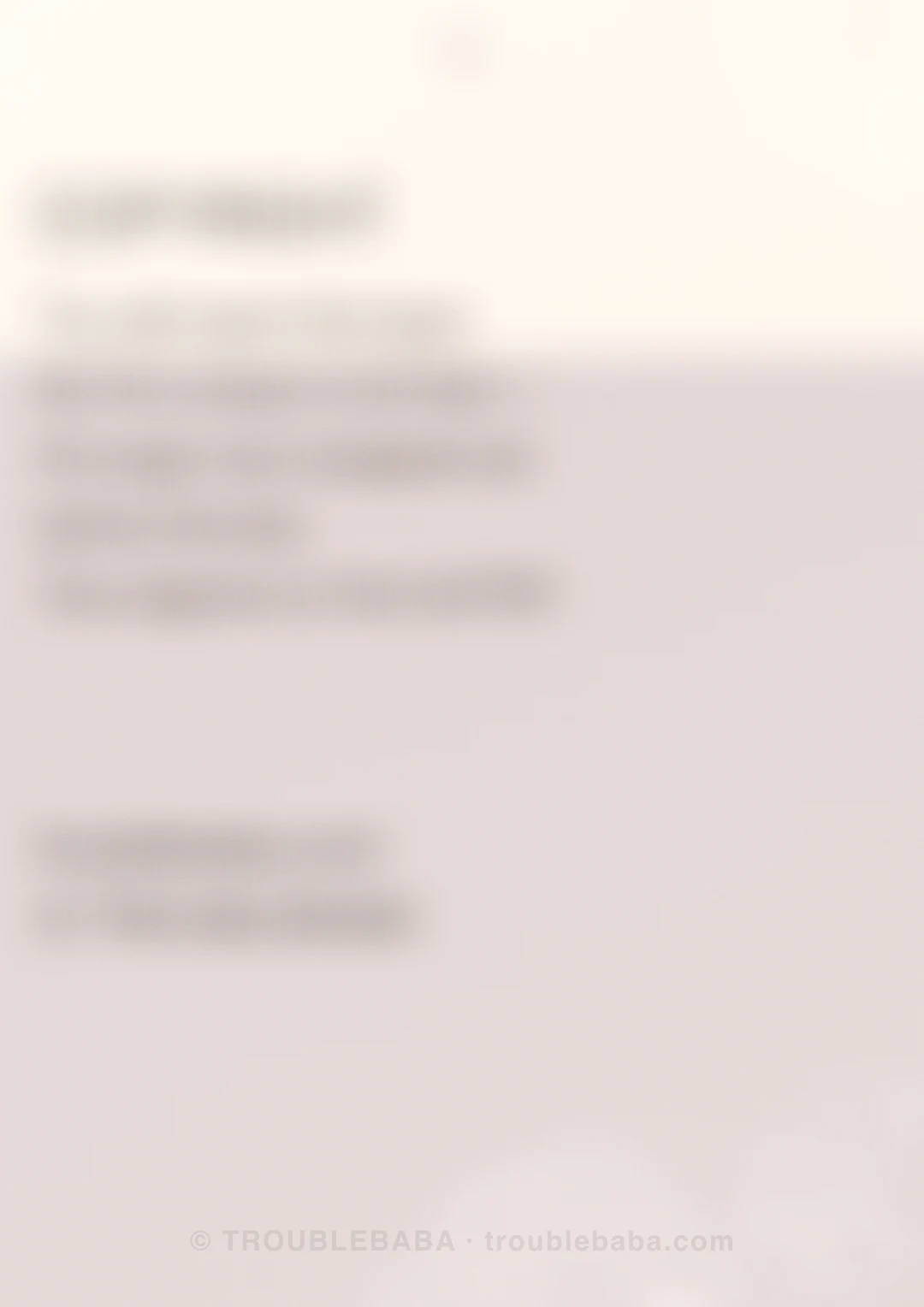 Page 37 of 59 — Bento Cake collection preview