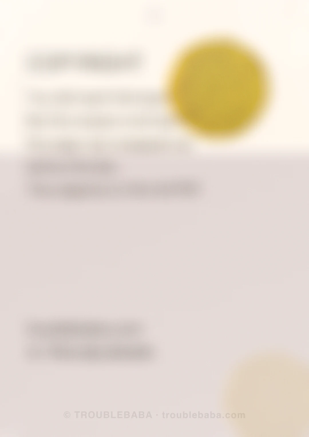 Page 39 of 59 — Bento Cake collection preview