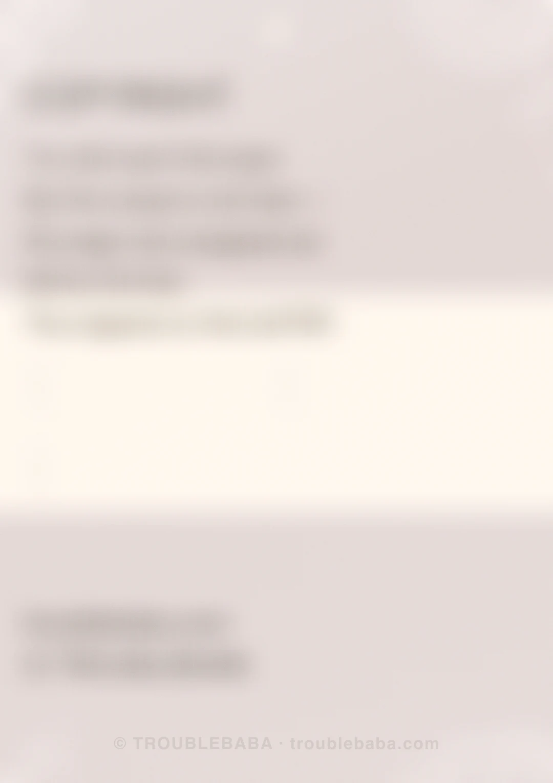 Page 40 of 59 — Bento Cake collection preview