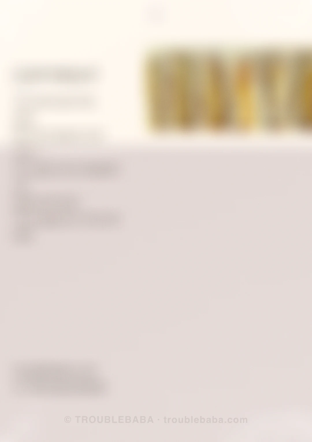 Page 41 of 59 — Bento Cake collection preview