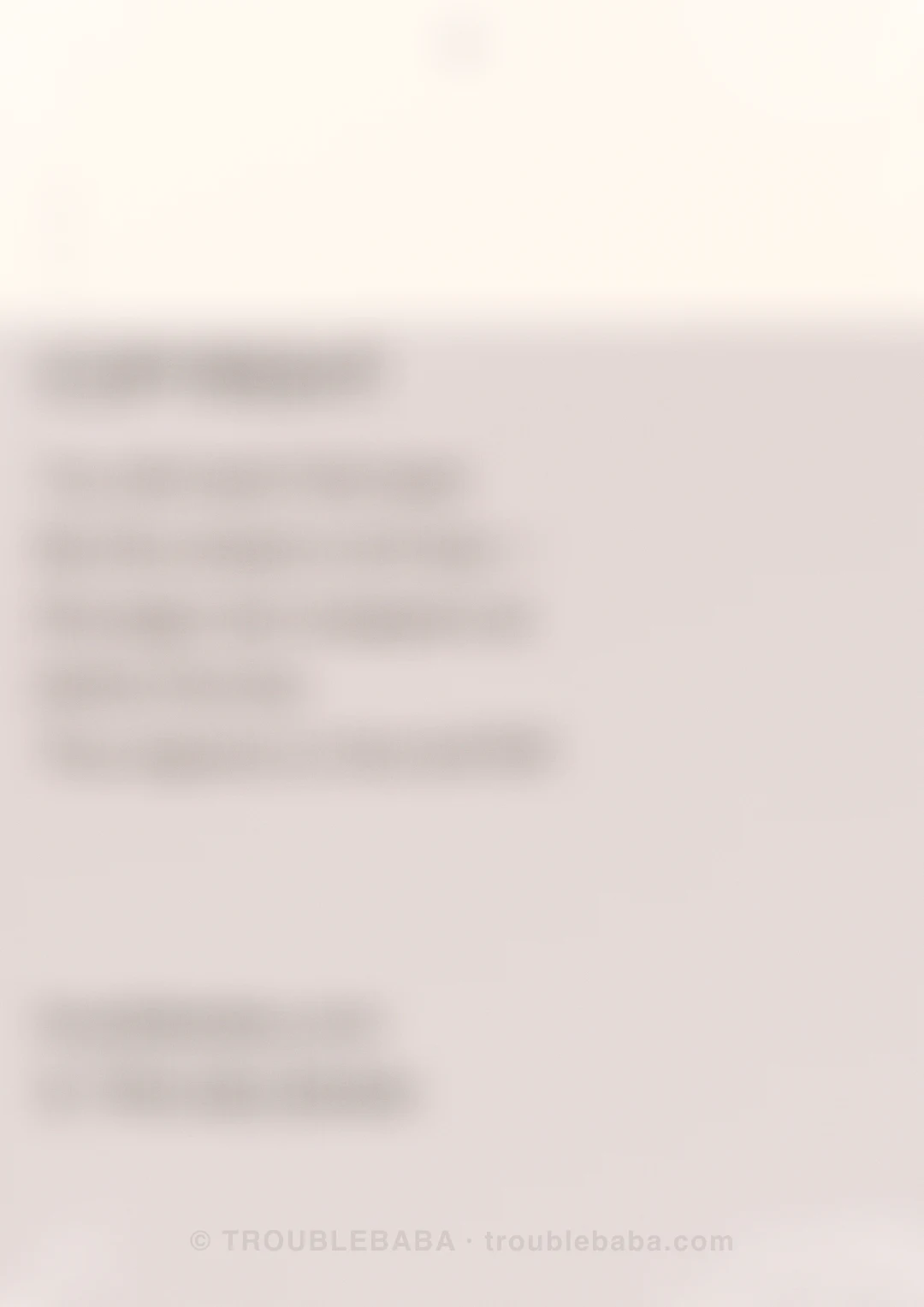 Page 42 of 59 — Bento Cake collection preview