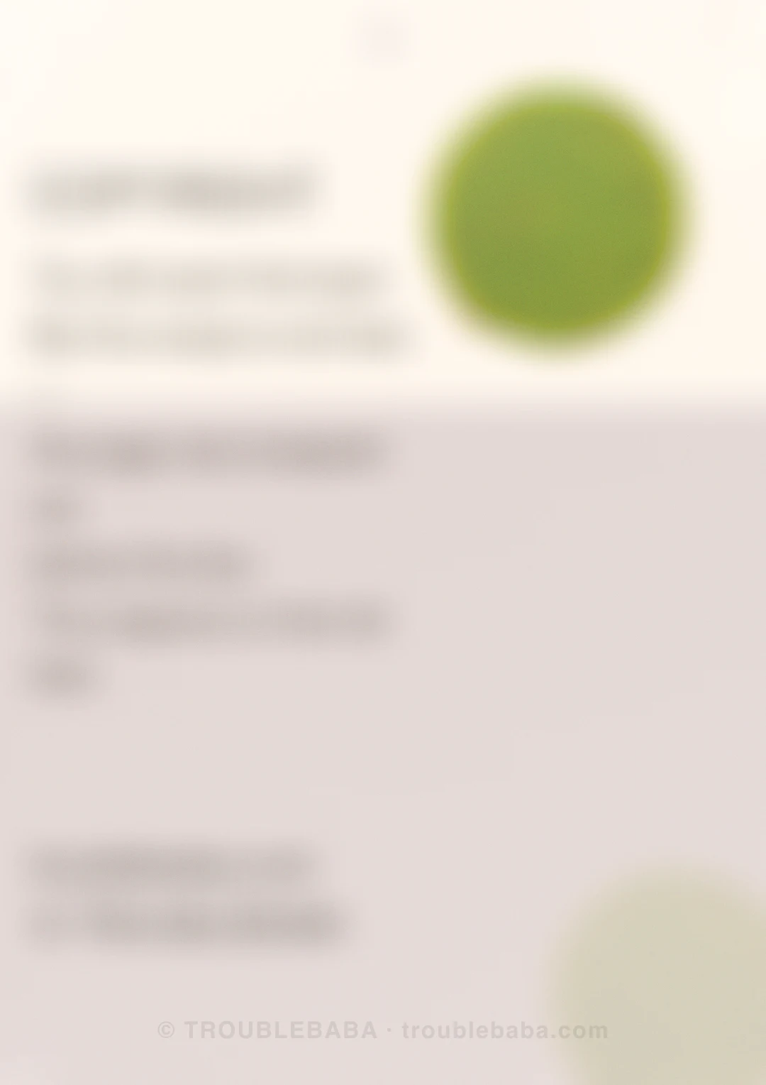 Page 44 of 59 — Bento Cake collection preview