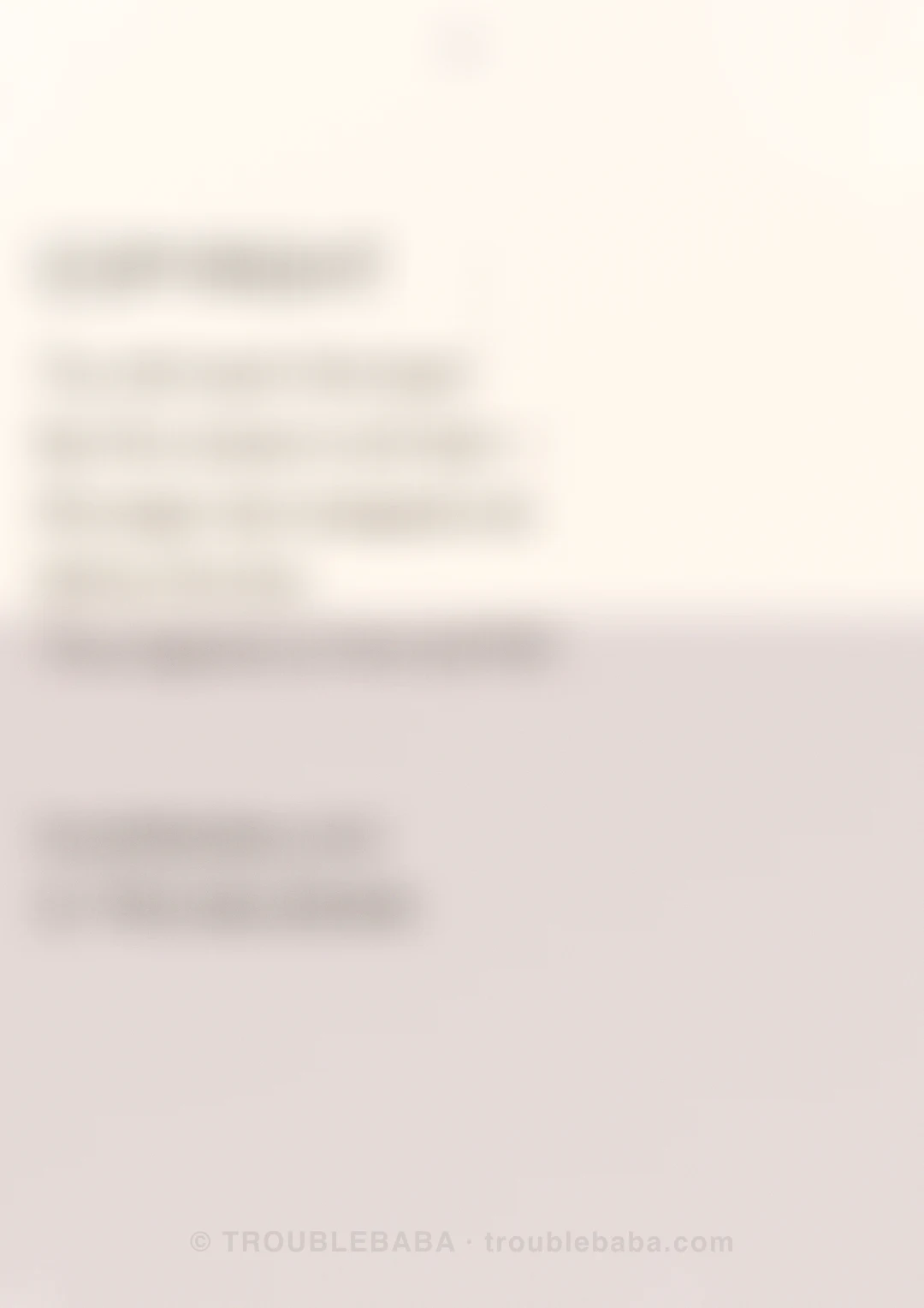 Page 46 of 59 — Bento Cake collection preview