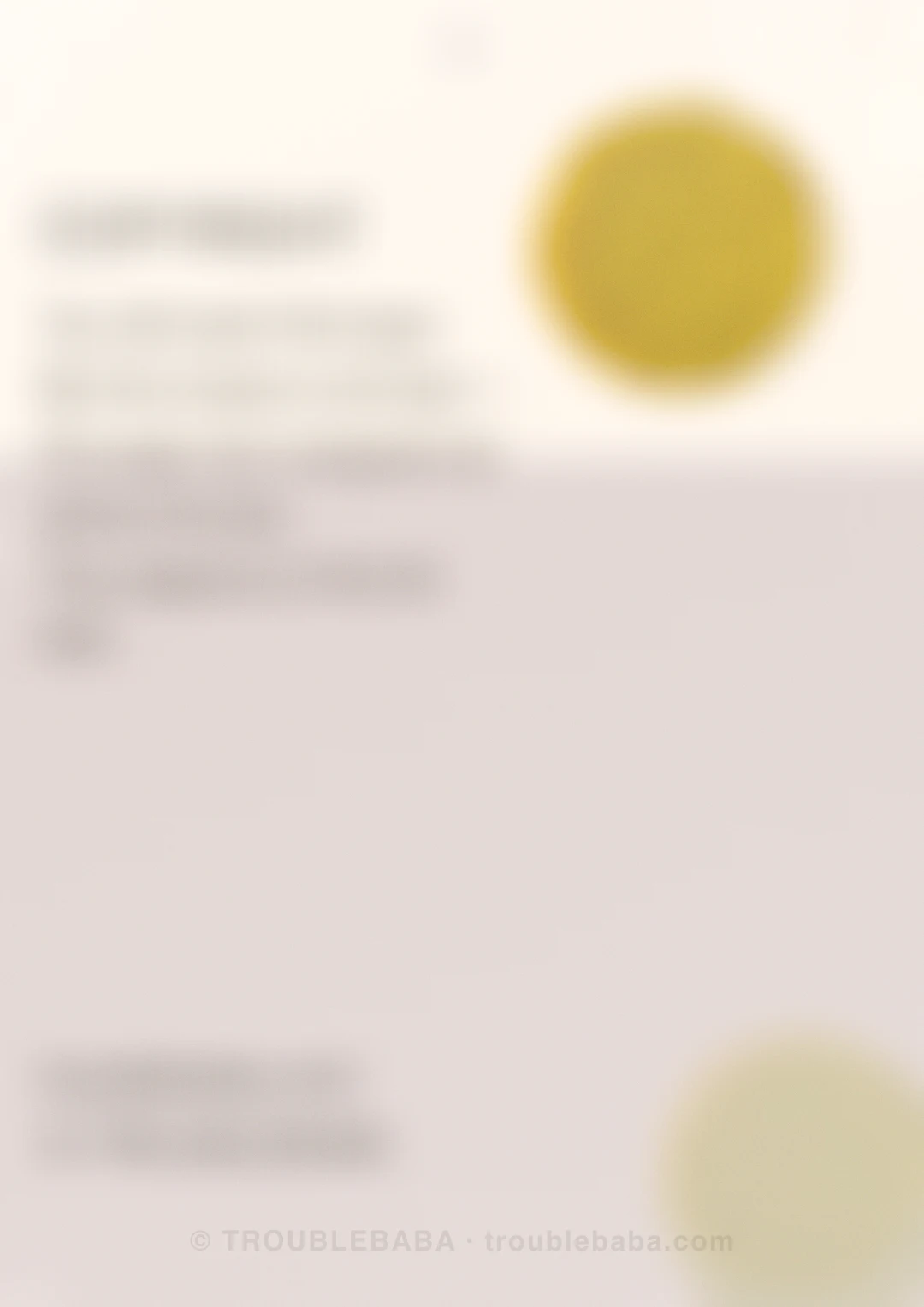 Page 48 of 59 — Bento Cake collection preview