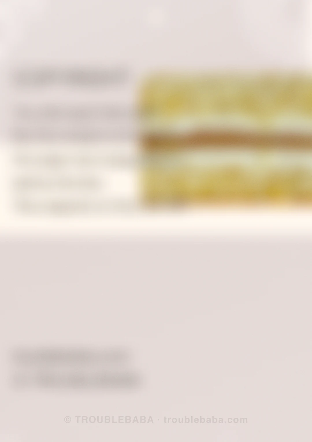 Page 49 of 59 — Bento Cake collection preview