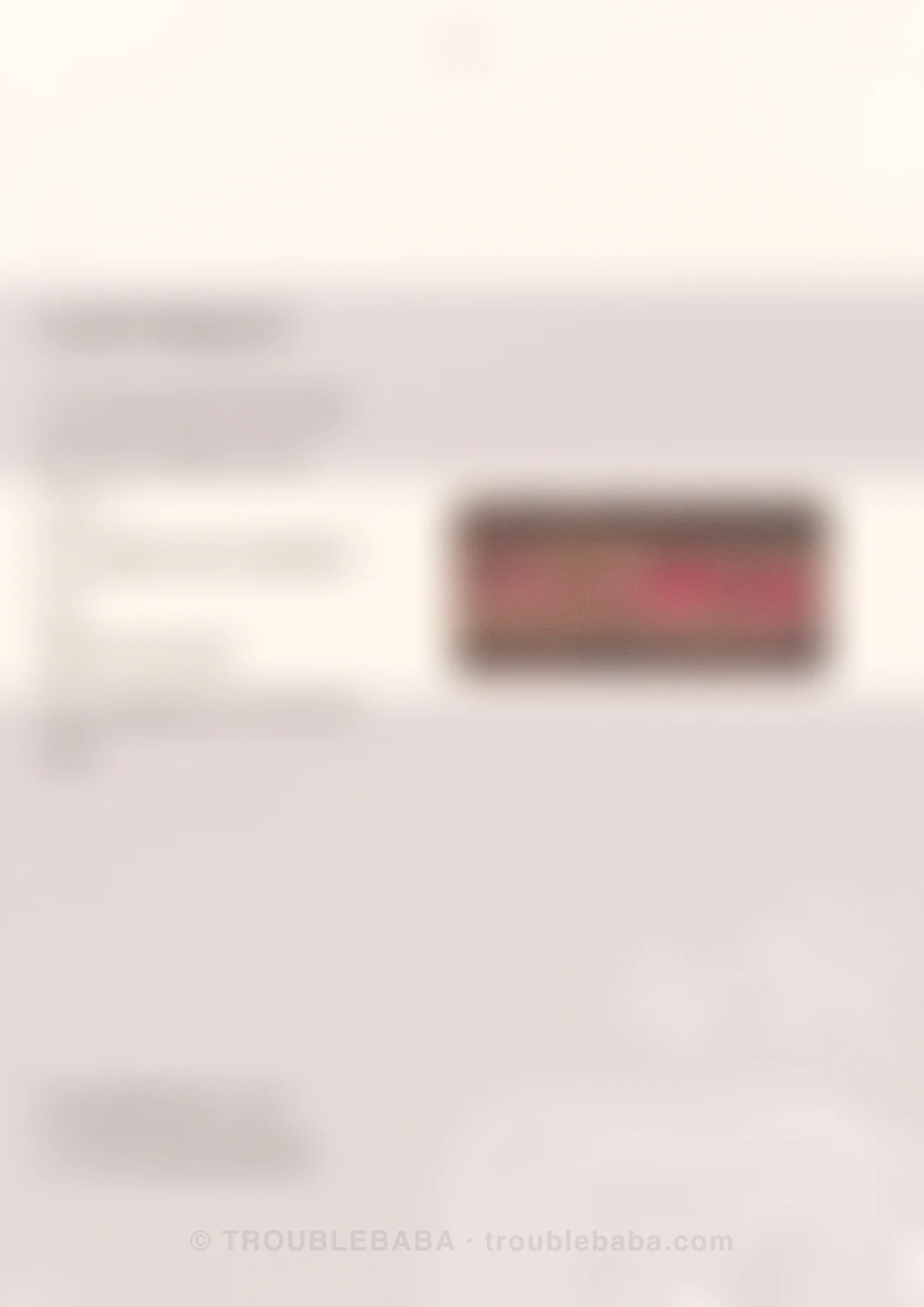 Page 53 of 59 — Bento Cake collection preview