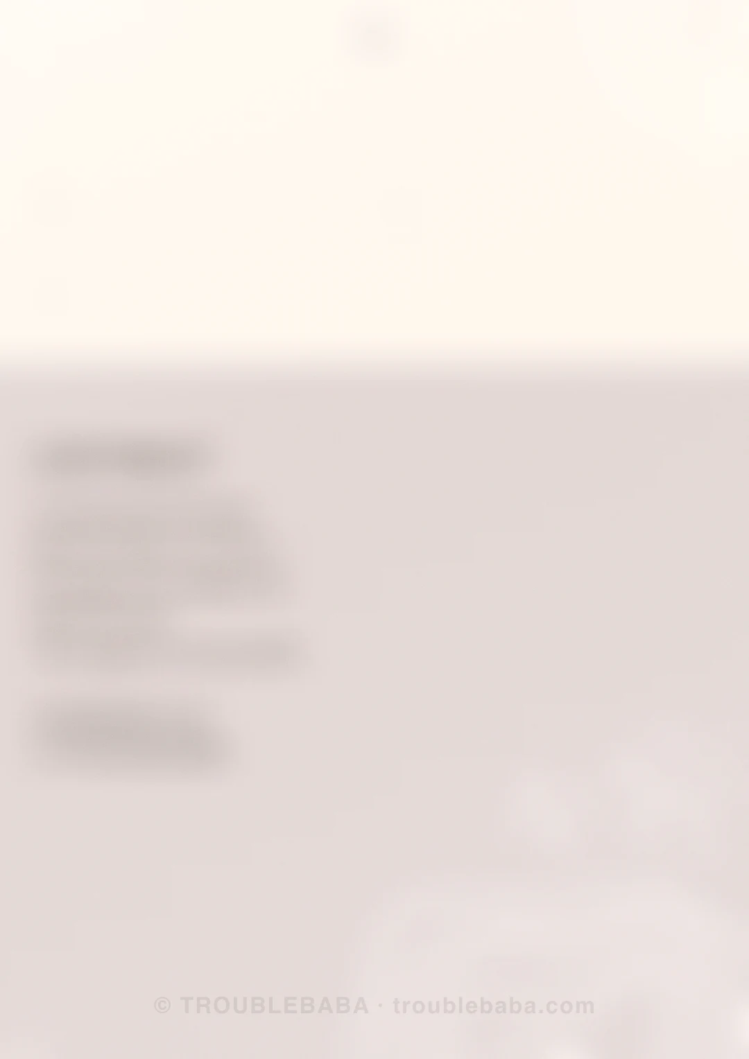 Page 54 of 59 — Bento Cake collection preview