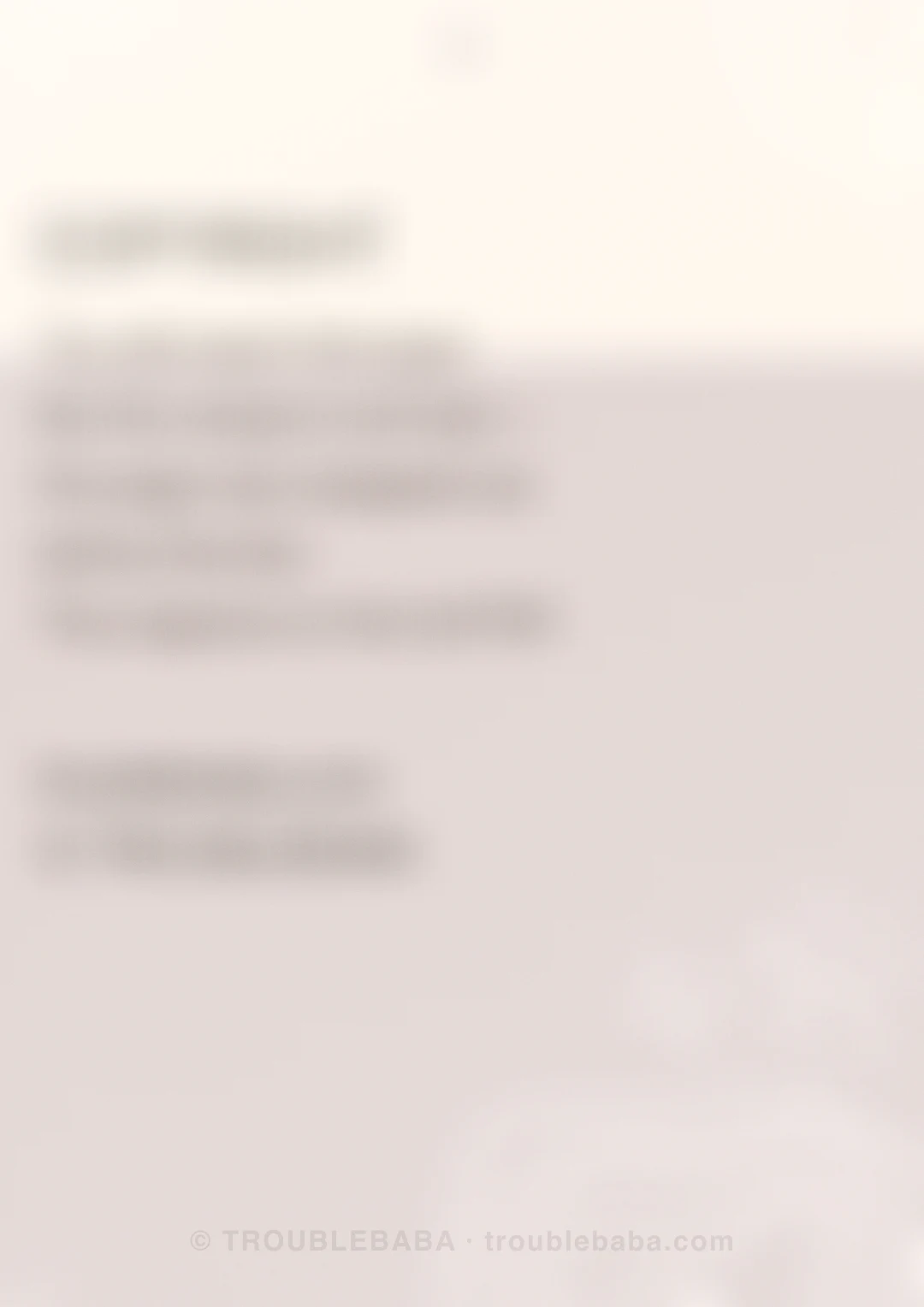 Page 56 of 59 — Bento Cake collection preview