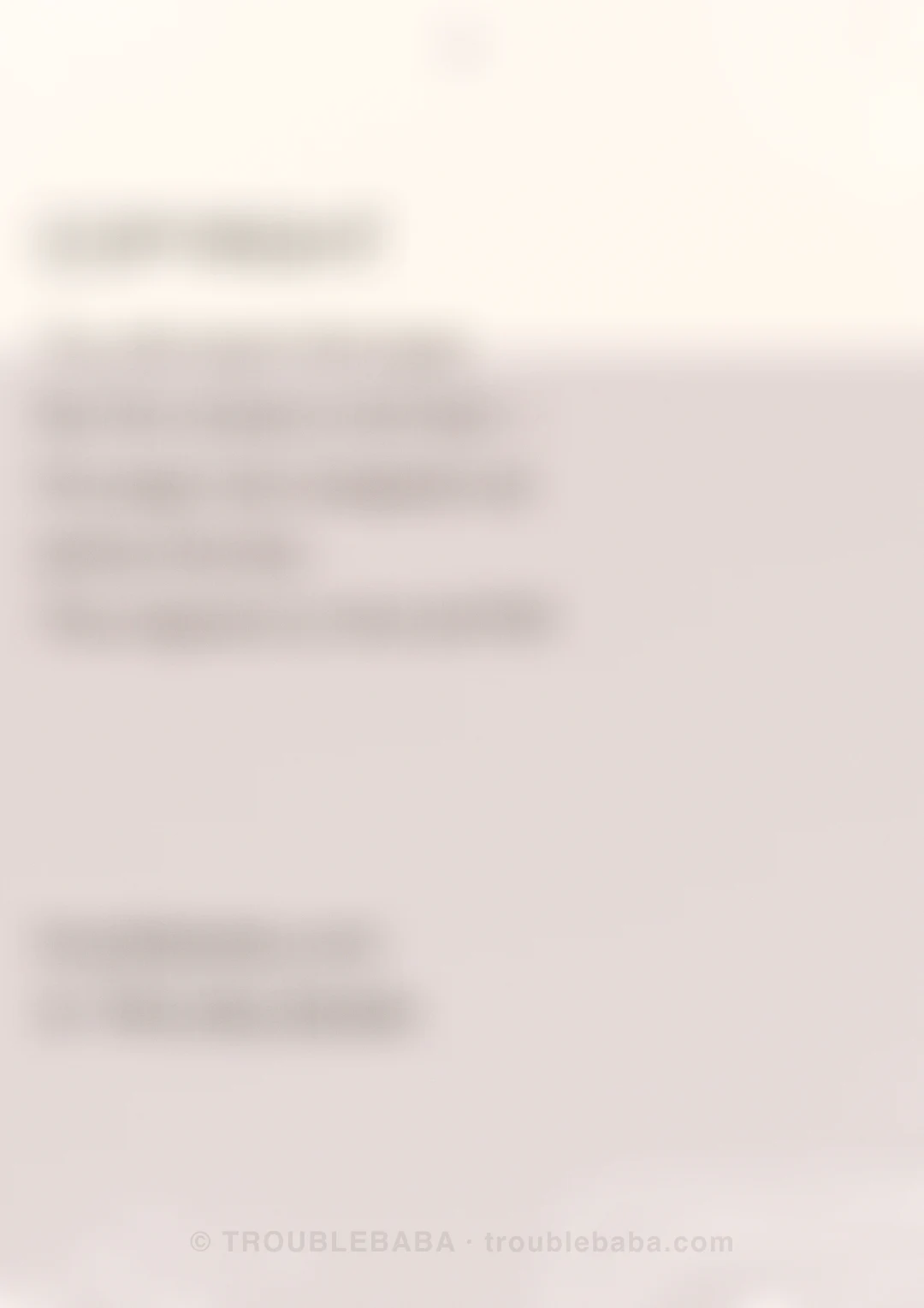 Page 58 of 59 — Bento Cake collection preview