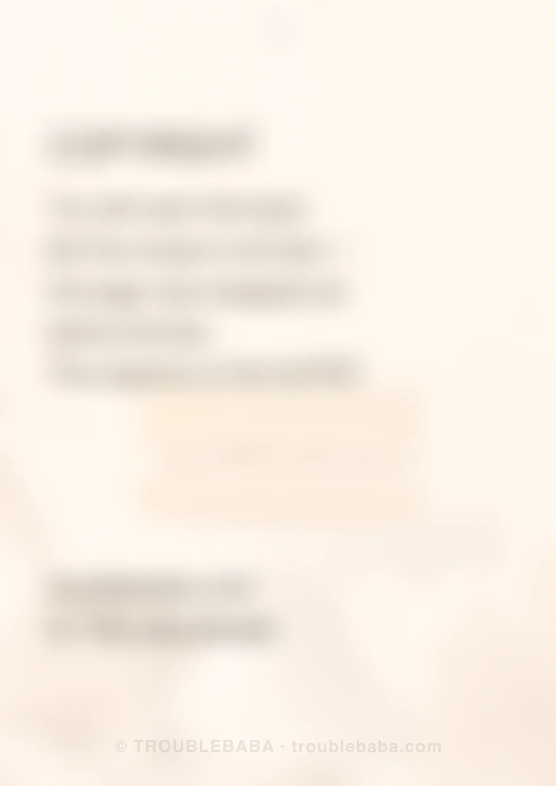 Page 9 of 59 — Bento Cake collection preview